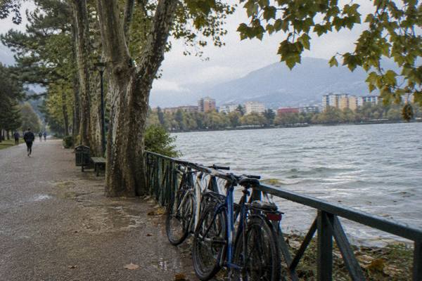 A few city bicycles leaning against a railing beside a shaded lakeside path in a big park, leaves overhead, Grand Park of Tirana