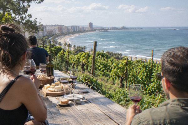 A small group tasting red wine at a long wooden table among vine rows on a gentle hillside, with plates of cheese and bread, Durres