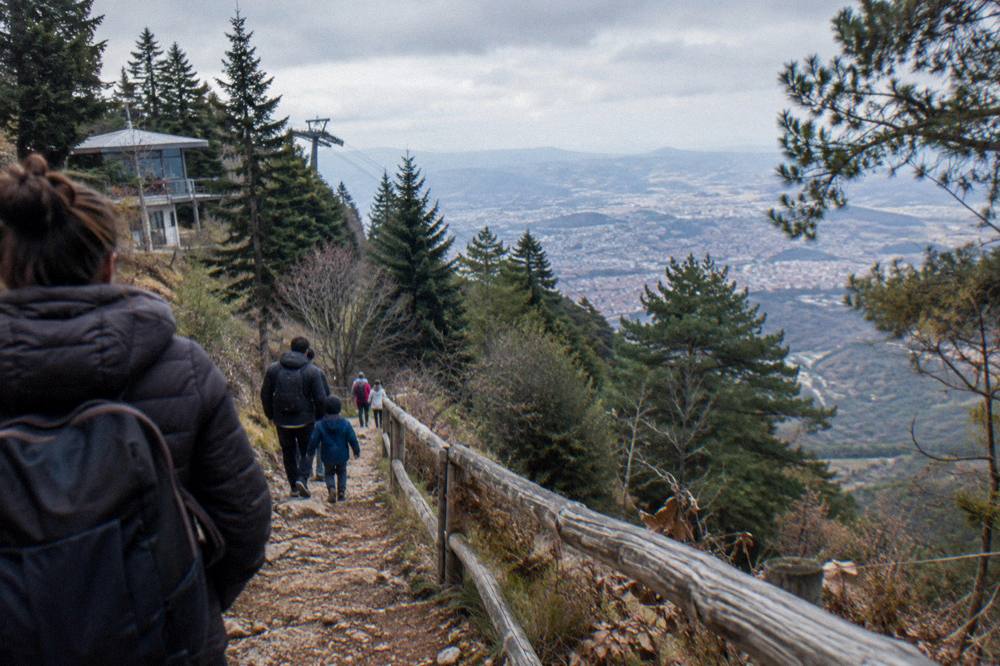 Families walking a forest path near the upper station on Mount Dajti