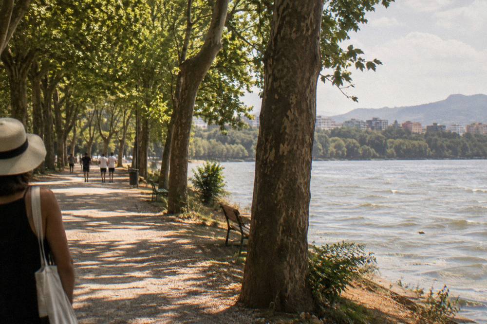 A shaded alley of tall trees inside the Grand Park of Tirana on a summer morning