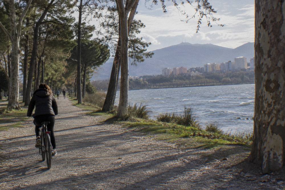 A cyclist riding a tree-lined path toward the lake in the Grand Park of Tirana