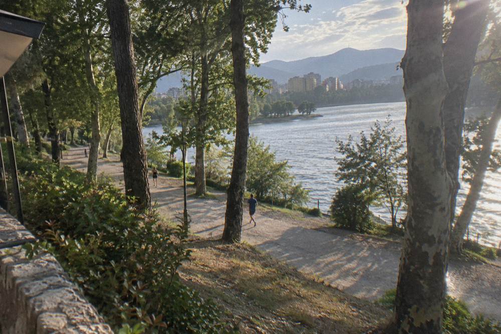 A large wooded city park of tall plane and pine trees over wide gravel paths with a calm lake beyond and hazy hills behind