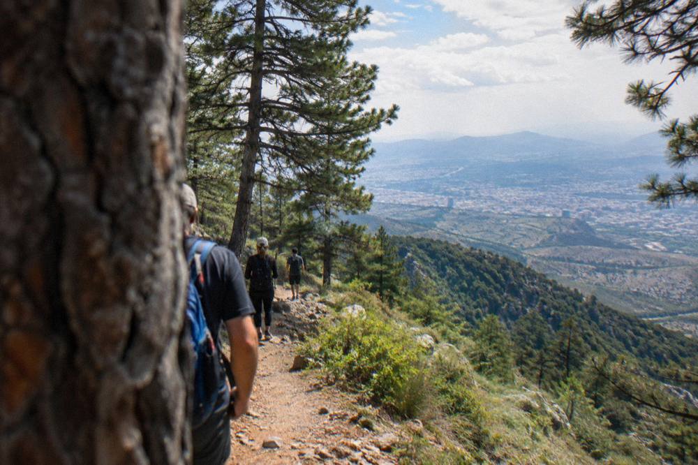Hikers on a pine forest path on Mount Dajti in bright morning light