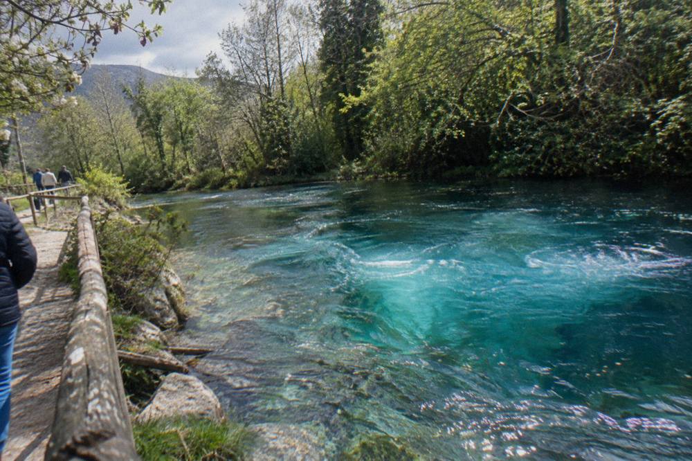 Close view of turquoise spring water welling up in a forested karst pool