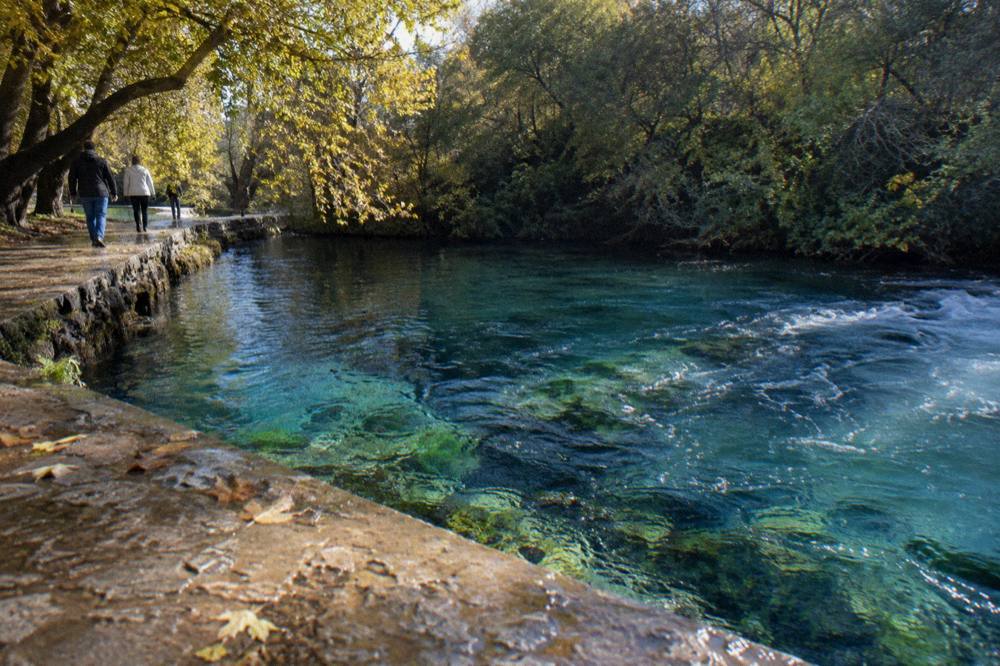 Sunlight falling on clear blue spring water among trees at midday