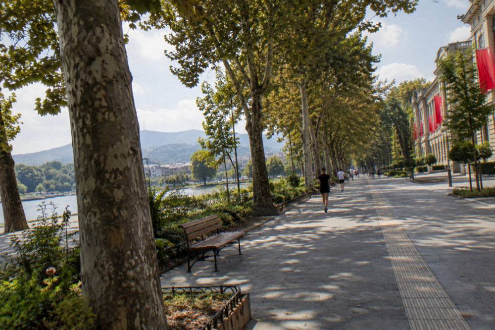 A city boulevard lined with trees and grand buildings on a national holiday with flags